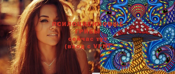 твердый Покровск