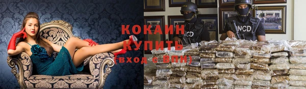 твердый Покровск