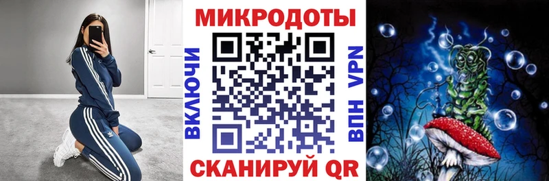 Псилоцибиновые грибы прущие грибы  где купить наркоту  Александров 