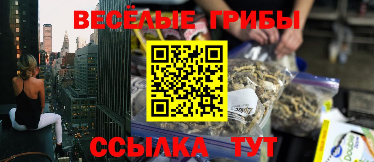 Псилоцибиновые грибы GOLDEN TEACHER Александров